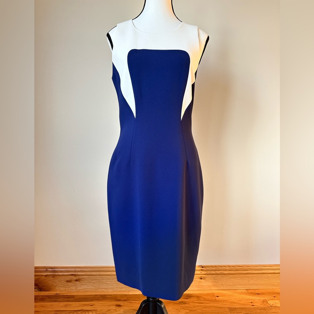 Rachel Roy Size 4 Sheath Dress